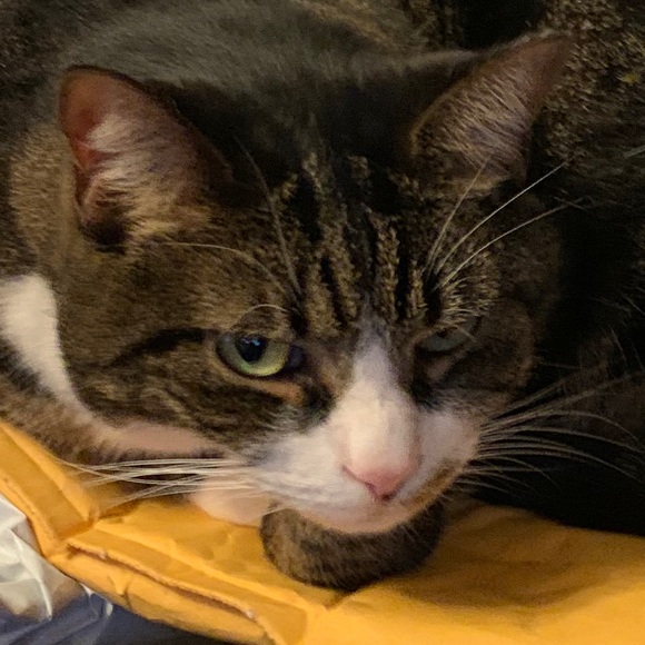 Meet your Posher, A - Picture 1 of 1